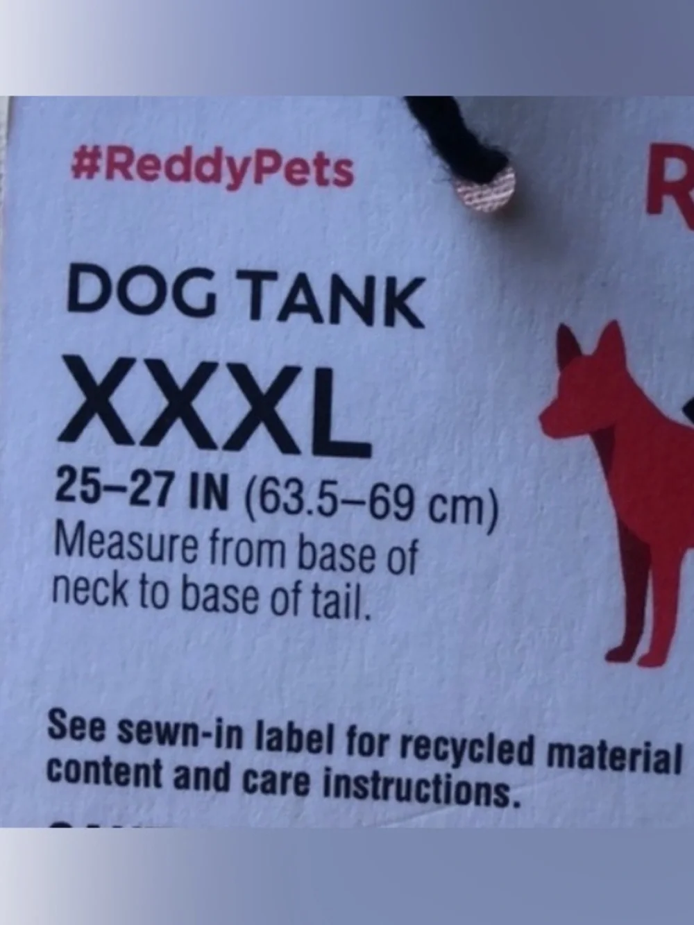 Reddy skull dog